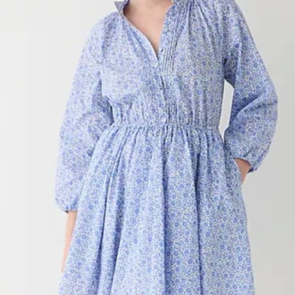J.Crew Ruffle-collar mini dress in Liberty® D'Anjo Coast fabric, XS, blue floral - Picture 5 of 5